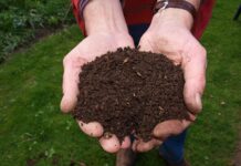 Czy kompost musi być przykryty?